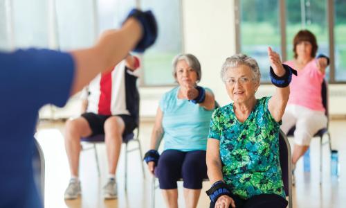 group of seniors in a chair/sitting exercise class