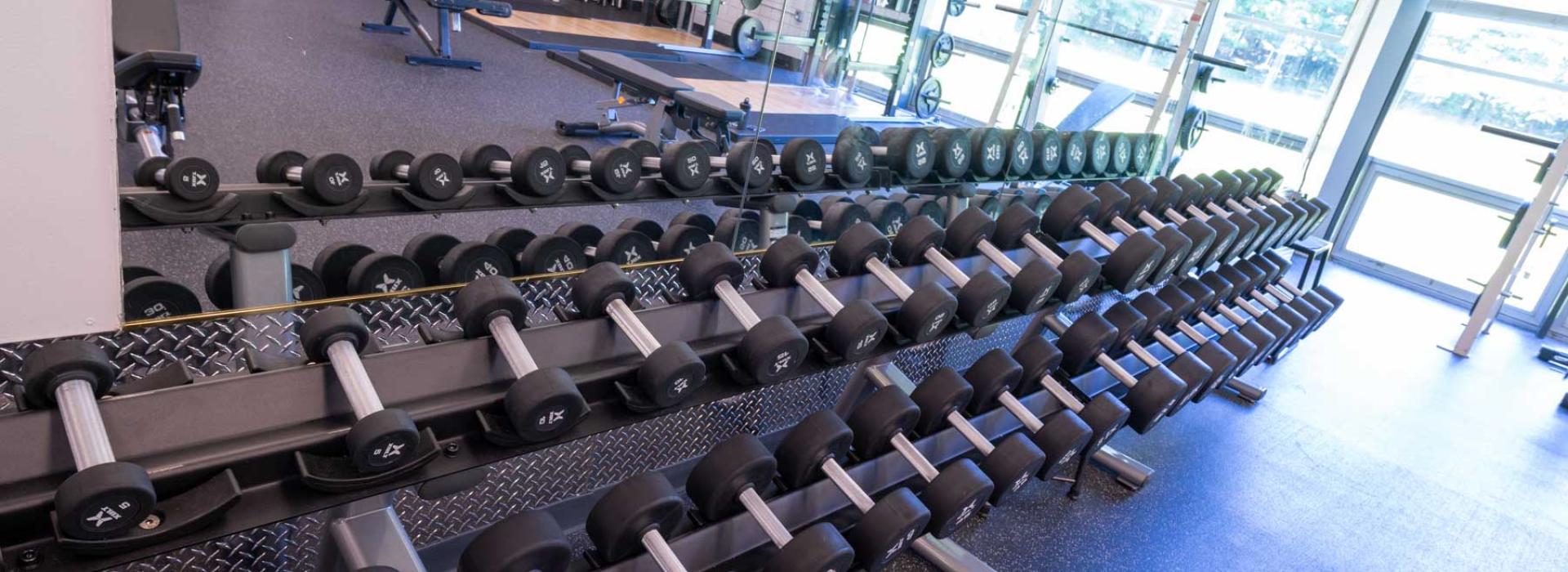 Free weights on rack by mirror
