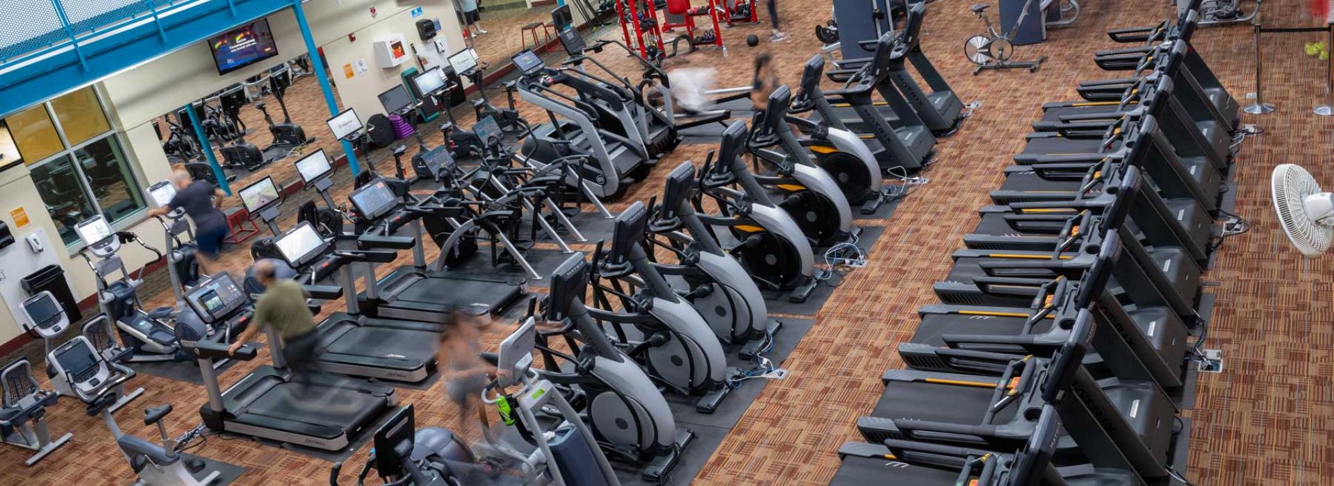 Arial view of exercise machines. Image shows mainly cardio machines and some circuits.